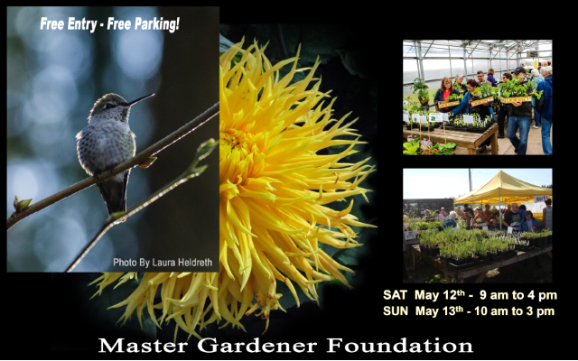 <h1 class="tribe-events-single-event-title">Mother’s Day Weekend Plant Sale</h1>