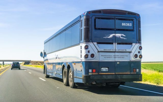 Greyhound Doesn’t Have To Allow Border Agents On Board