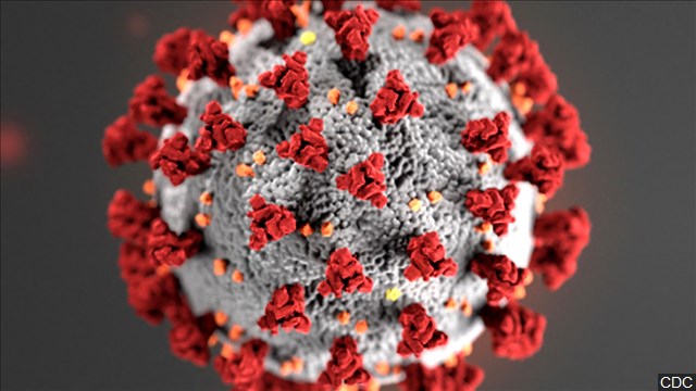Washington State Reports 9 Deaths From Virus