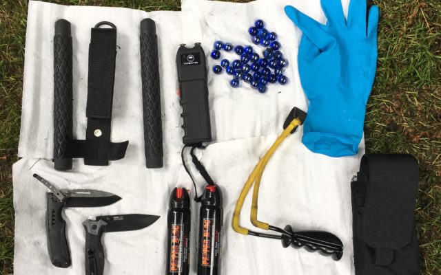 Officers Confiscate Multiple Weapons In Chapman Square Park