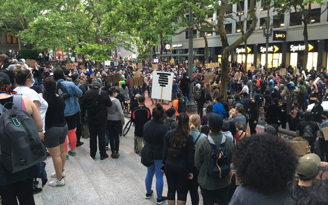 10 Arrested, Two Guns Seized In Fourth Night of Portland Demonstrations