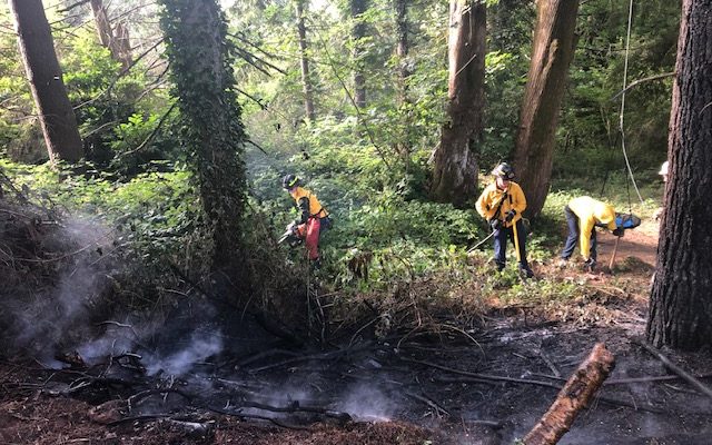 Recreational Fire Turns Into Small Brush Fire In Cowlitz County