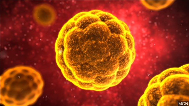 Washington & Oregon both report cases of new coronavirus strain