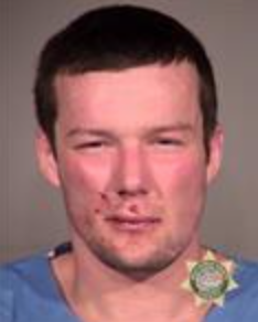 Vandalism suspect allegedly threw punches at officers