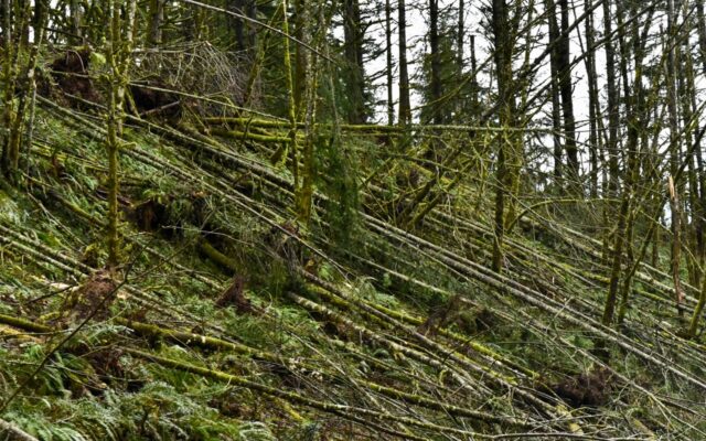 ODOT Watching Weak Hillsides And Cleaning Up Storm Debris