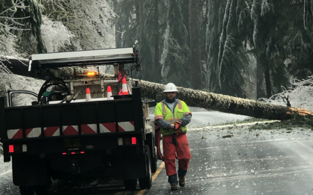 Down Trees, Debris in Oregon make for busy weekend