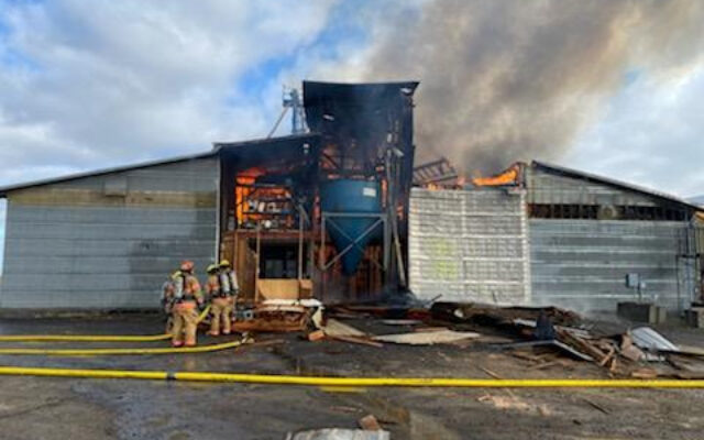 Worker Killed In Explosion And Fire At Seed Facility Near Silverton