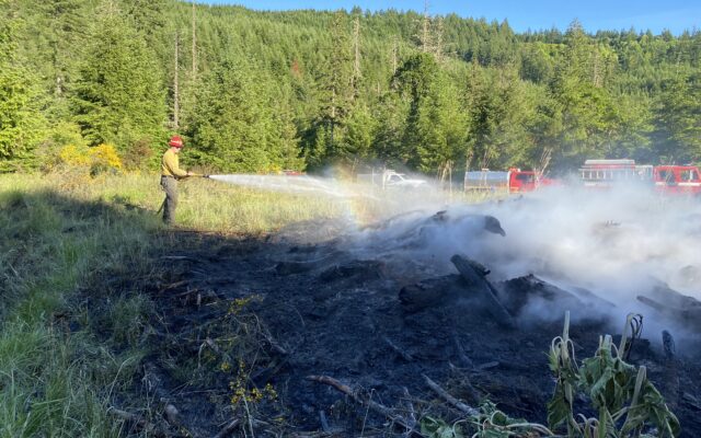 Fire crews respond to brush fire caused by unattended burn