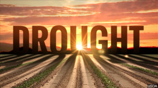 Record-Breaking Year Of Drought In Eastern Washington