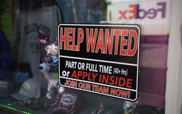 US adds 559K jobs as firms still struggle to fill positions