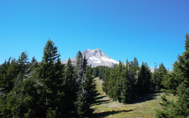 8 New Trails at Mt. Hood Meadows