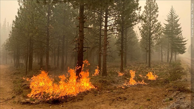 Fire Weather Watch Issued For Areas Devastated By 2020 Labor Day Fires
