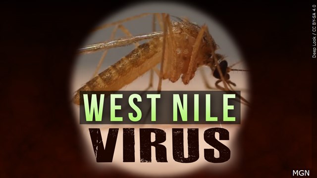 West Nile Virus Detected In Washington State