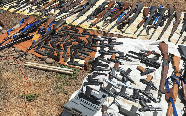 337 Guns Seized At Clackamas County Home