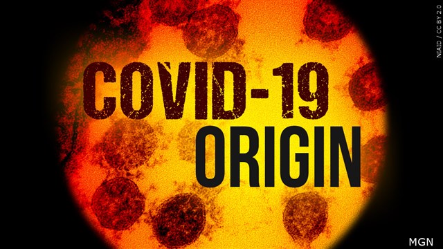 U.S. Intelligence Still Divided On Origins Of Coronavirus