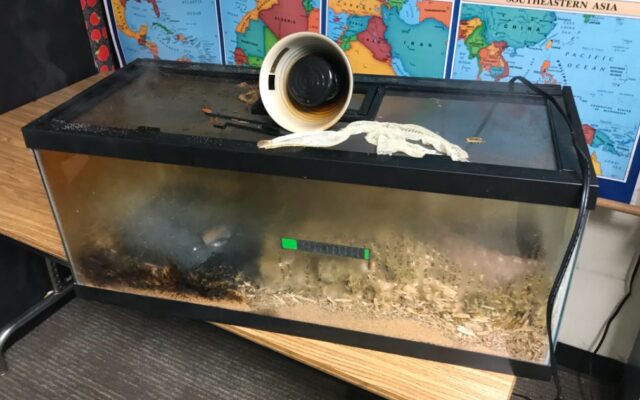 Small Fire Breaks Out In Elementary School Classroom