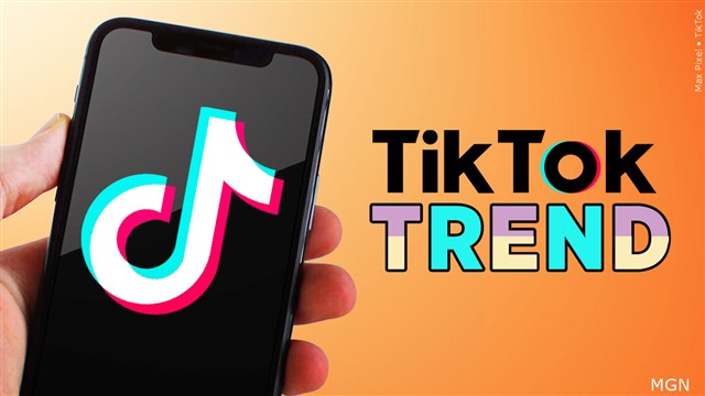 TikTok Banned On All Canadian Government Mobile Devices