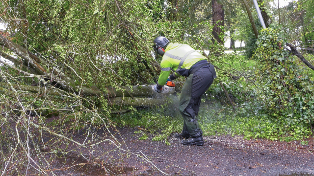 Cleanup Of Trees From April Storm To Take Weeks