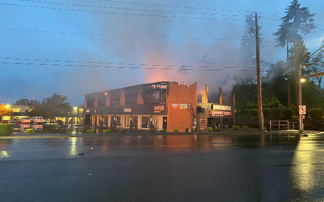 Several Businesses Destroyed In Hazel Dell Fire