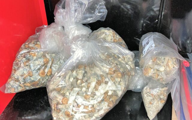 Oregon Store Allegedly Selling Psychedelic Mushrooms Raided
