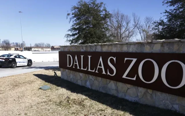 Police: Man arrested in taking of monkeys from Dallas Zoo