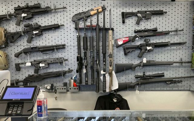 Oregon court refuses to overturn order blocking gun measure