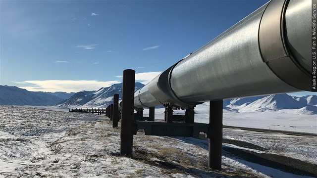 Biden Administration OKs Major Willow Oil Drilling In Alaska Over Protests