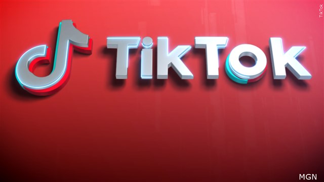 TikTok CEO To Tell Congress App Is Safe, Urge Against Ban