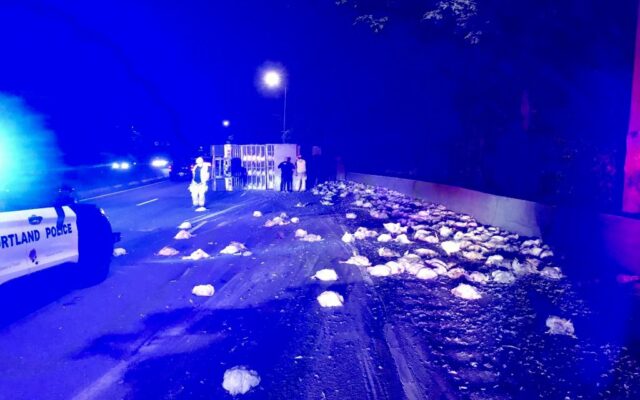 Truckload of chickens spilled on i-5 in Portland.