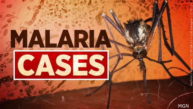 Florida Issues Health Advisory After 4 Locally Contract Malaria In First Spread In US In 20 Years