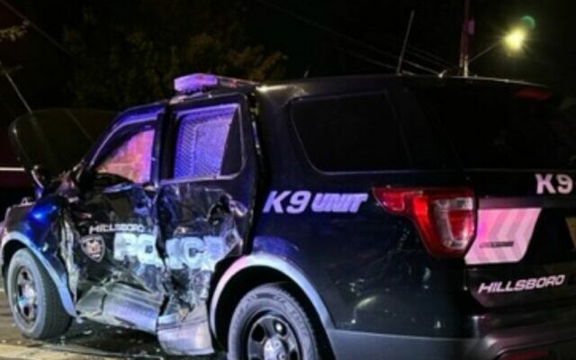 Hillsboro Police Officer And K9 Partner Involved In High-Speed Collision