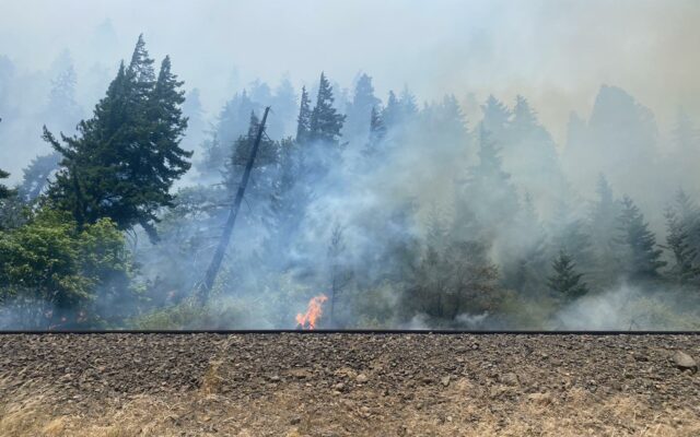 Tunnel Five Fire In Skamania County, Washington, Grows To 533 Acres Overnight And Destroys Structures