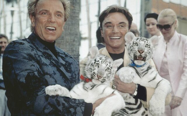 Six Siegfried & Roy Tigers Have A New Lifetime Home In Oregon.